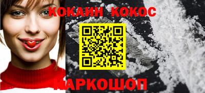 гашик Кингисепп