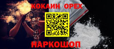 гашик Кингисепп