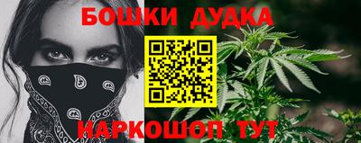 гашик Кингисепп