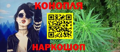 гашик Кингисепп