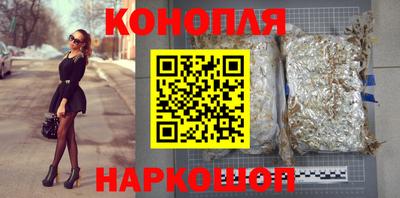 гашик Кингисепп