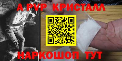 гашик Кингисепп