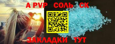 гашик Кингисепп