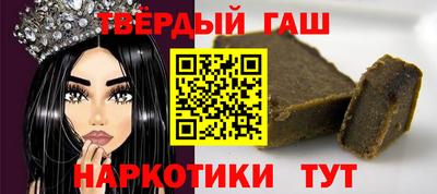 гашик Кингисепп