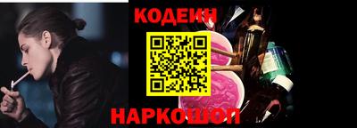 гашик Кингисепп