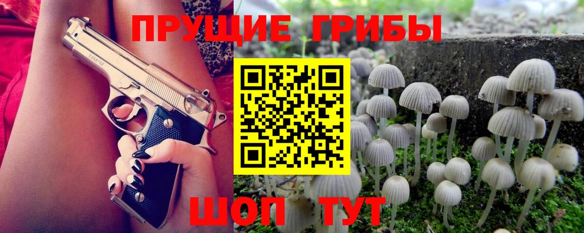 где найти наркотики  Вход с VPN  Крымск  Псилоцибиновые грибы GOLDEN TEACHER  Галлюциногенные грибы прущие грибы 